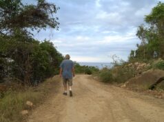 IDFA Review: I Walk