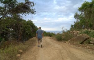 IDFA Review: I Walk