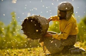 Three European films nominated for Best Feature Doc Academy Award