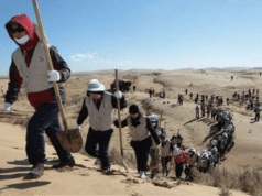 Happy ending to 2019 for Finnish docmakers