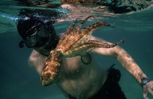 My Octopus Teacher to open 22nd Thessaloniki Doc Fest