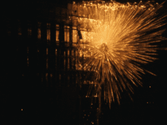 Visions du Réel review: Nemesis by Thomas Imbach (International Feature Competition)