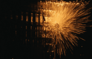 Visions du Réel review: Nemesis by Thomas Imbach (International Feature Competition)