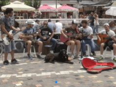 Thessaloniki Doc Fest: It’s a dog’s life…