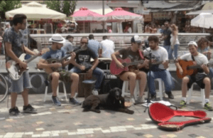 Thessaloniki Doc Fest: It’s a dog’s life…