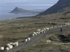 Hot Docs/EFP: Changing Face of Europe: The Last Autumn