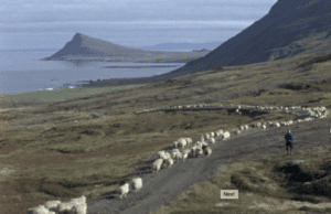 Hot Docs/EFP: Changing Face of Europe: The Last Autumn