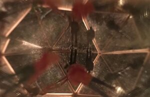 IDF reminder of upcoming East Silver Market 2020 deadline