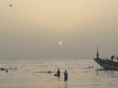 Sheffield Doc/Fest: Stolen Fish by Gosia Juszczak