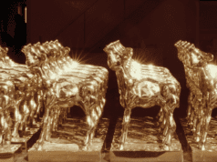 Dutch docs competing for 2020 Golden Calves