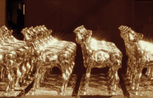 Dutch docs competing for 2020 Golden Calves