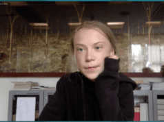 Greta Expectations
