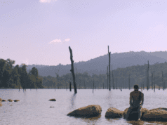 IDFA 2020: First competition selections announced