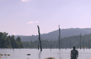 IDFA 2020: First competition selections announced
