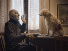 IDFA: Truffles over the Atlantic