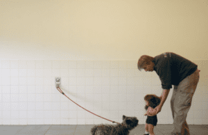 IDFA 2020: Four legs good