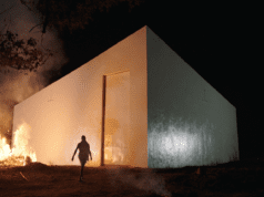 IDFA Feature-length Competition review: White Cube by Renzo Martens
