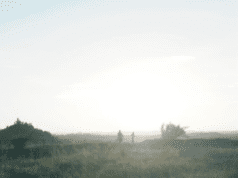 IDFA First Appearance Review: The Last Hillbilly