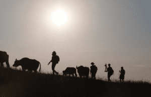 IDFA Docs for Sale: Buffalo soldier