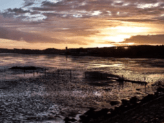 IDFA Dutch Doc Competition: Silence of the Tides