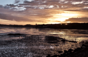 IDFA Dutch Doc Competition: Silence of the Tides