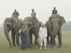 IDFA: Rockstars, elephants, bipolarism and a hero’s quest