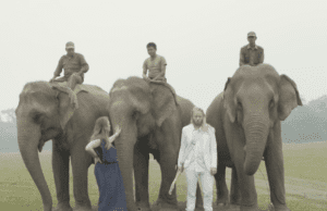 IDFA: Rockstars, elephants, bipolarism and a hero’s quest