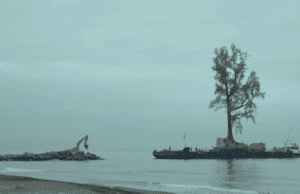 Sundance World Cinema Doc Comp preview: Taming The Garden
