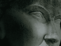 IFFR Tiger interview: ‘Landscapes Of Resistance’ by Marta Popivoda