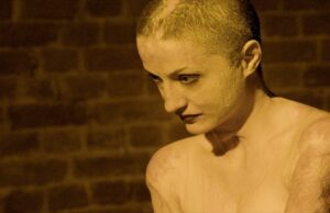 Collective wins inaugural LUX Audience Award