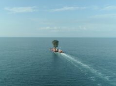 Berlin Forum review: Taming the Garden by Salome Jashi