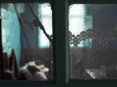 Berlin Golden Bear Best Short Film: Nanu Tudor review