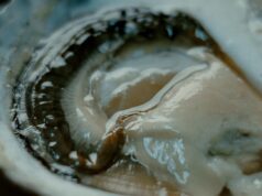 Hot Docs review: The Taste of Desire by W.J.A. Kluijfhout