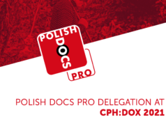 CPH:DOX: Poles in Copenhagen
