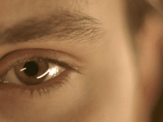 Sunny Side pitch: No Mercy: The Female Gaze by Isa Willinger