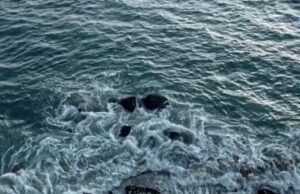 FIDMarseille: Crashing Waves by Lucy Kerr