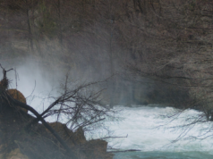 Karlovy Vary review – Roots by Tea Lukač