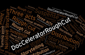 DocCelerator announces upcoming program/workshop deadlines
