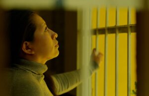 Nordisk Panorama, New Nordic Voice: Fly So Far by Celina Escher