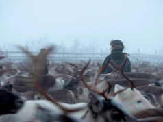 RE>CONNEXT: Frederik Nicolai, producer of the 6-film Borderline series