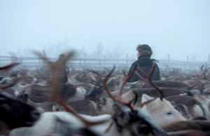 RE>CONNEXT: Frederik Nicolai, producer of the 6-film Borderline series