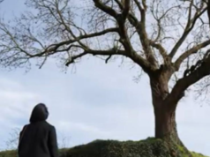 RE>CONNEXT work-in-progress: In My Father’s House by Rachida El Garani
