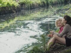 IDFA Industry: Marie Van Innis of the Flemish Audiovisual Fund (VAF)