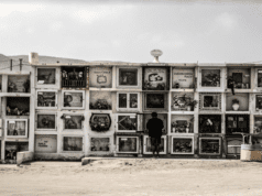 Tull Stories acquires UK/Ireland rights, incl theatrical, for Arica