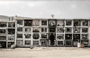 Tull Stories acquires UK/Ireland rights, incl theatrical, for Arica