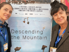 Mushrooming interest in Dutch psychedelics doc