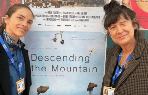 Mushrooming interest in Dutch psychedelics doc