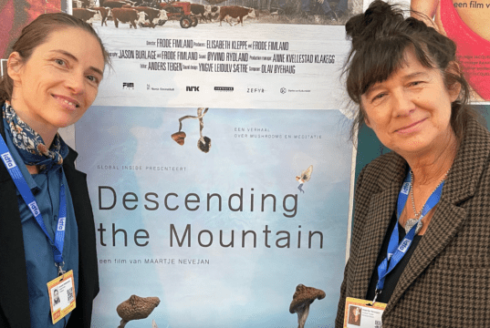 Mushrooming interest in Dutch psychedelics doc