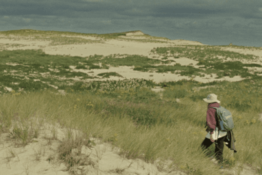 Docs selected for Berlinale Forum Main Programme
