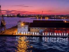 Thessaloniki Doc Fest interview: Yianna Sarri, Head of Agora Docs